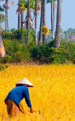 fotos/bestemmingen/cambodja-klimaat-2.jpg